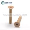 Bulong nhựa peek lục giác chìm đầu bằng M3 - M12