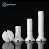 Vít pake đầu bằng 1 rãnh nhựa PTFE M3-M10